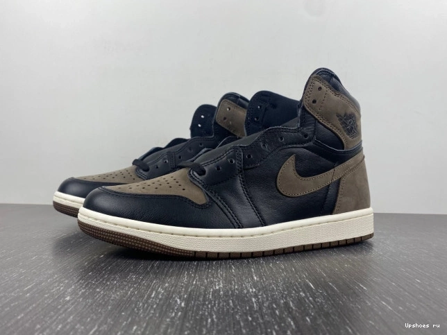 Palomino Jordan Retro DZ5485-020  OG  1  High 0808